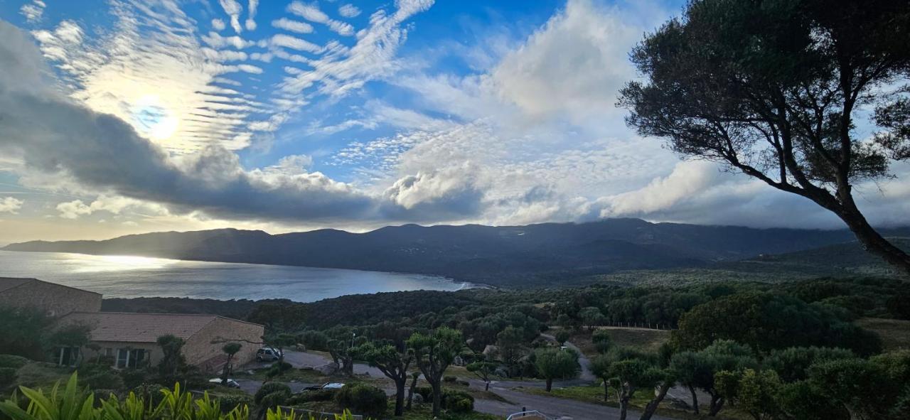 Chalereux T2 Vue Mer Et Piscine Alba Rossa Serra-di-Ferro  Buitenkant foto